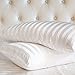 The Great American Store Scala Hotel Collection 800 Thread Count 2pc White Stripe Pillow Cases Queen Size- 20