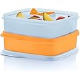Tupperware Lunch-It Portion & Go Compact 2-Lunch Box Set, Dishwasher Safe and BPA Free (2.3 Cups/550 ml)