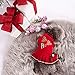 KYEESE Red Dog Sweater Christmas Turtleneck Small Dogs Sweaters Dress with Bowtie Knit Pullover Warm Dog Clothes