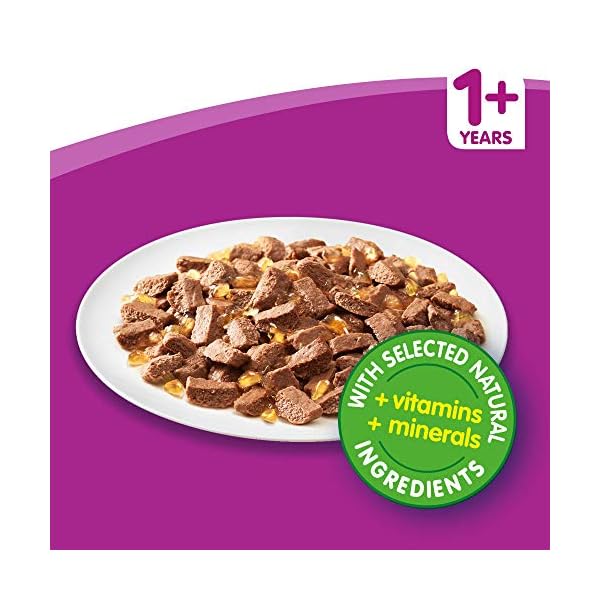 Whiskas-1-Cat-Food-Pouches-Mixed-Selection-in-Jelly-100-g-Pack-of-84 Whiskas wet pouches, delicious and tasty poultry selection in jelly, suitable for adult cats aged 1+, megapack (84 x 100…