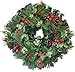 The Wreath Depot Aurora Winter Wreath, 24 Inches, Designer Full Artificial Winter Wreath Enhances Front Door Decor, White Gift Box Included
