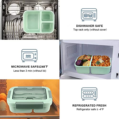 Bento Box, Bento Box for Adults, 49 OZ 3 Compartments Bento Lunch Box