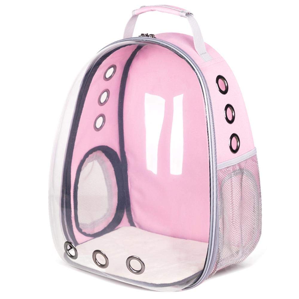 cat bubble backpack amazon