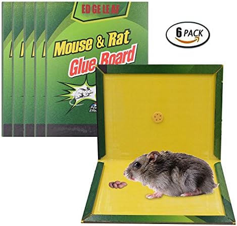 ZOORE Rat/Mouse/Mice/Insect/Lizard/Spider/Glue Trap, Pest Catch Experts. Super Sticky Board Contains Scent Lure,Professional Indoor Outdoor Traps. Perfect Use for any Place