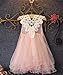 Baby Girls Princess Party Dress Pearl Lace Flower Fancy Gown Backless Dress 2-7Y