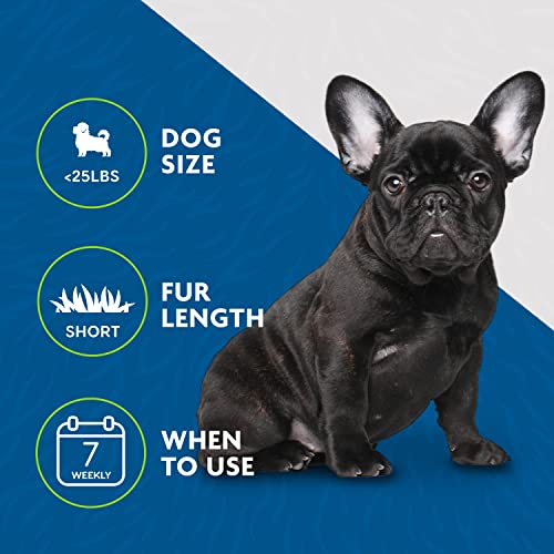 FURminator Small Dog Undercoat deShedding Tool, Short Hair, Reduces