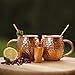 Moscow Mule Copper Mugs - Gift Set of 2 Pure Copper Cups With BONUS Shot Glass and Straws
