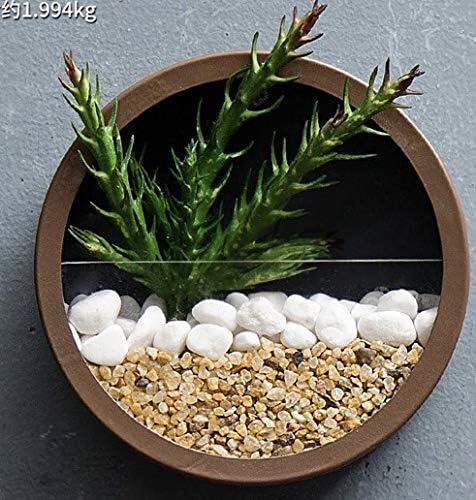 Amazon Com Round Planter Pot Wall Hanging Decor Container Plant