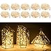 10 Pack Fairy Lights 7 Feet 20 LED Firefly Lights Battery Operated String Lights Copper Wire Starry Moon Lights for DIY Wedding Bedroom Indoor Party Decoration (Warm White) primary