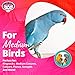 Super Bird SB669 Wicker Foraging Basket Bird Toy with Array of Chewable Toys for Parrots, Medium Size, 10″ x 4″ x 5″thumb 2