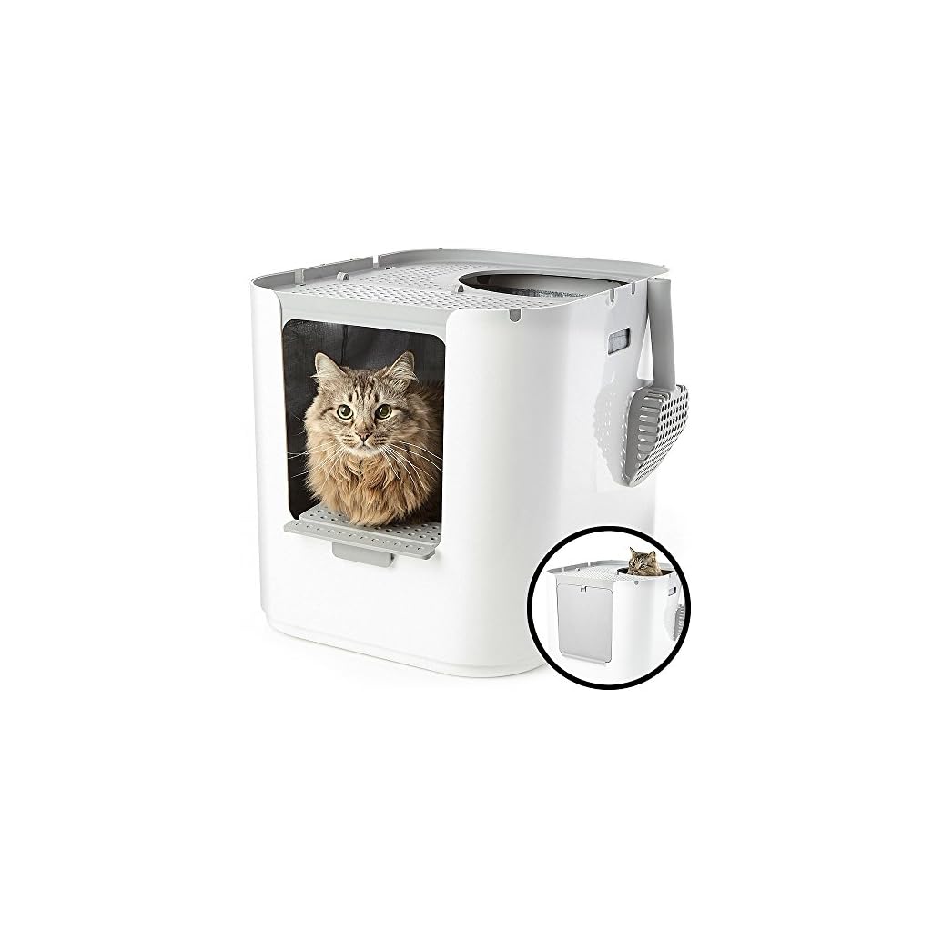 Modkat Xl Litter Box Top Entry Or Front Entry Configurable at Jarvis