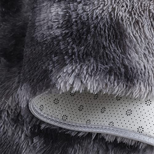 4X6 Feet Dark Gray Modern Area Rugs for Bedroom Living Room Ultra Soft Fluffy Throw Carpets for Girls Boys Kids Room Shaggy Fluffy Rugs (4X6Feet, Dark Gray)