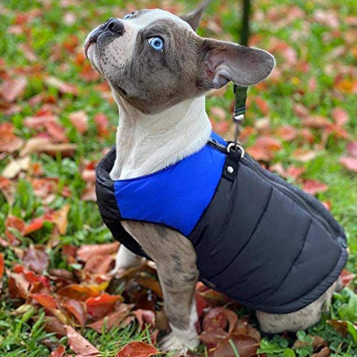 gooby padded vest