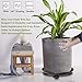 Murilan Heavy Duty Round Flower Mover Potted Plant Stand with Wheels, 10.6 inch, Black of 2 Pallet Caddy