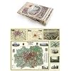 Collection of Four Historic Maps of Manchester from 1807-1876 Landkaart – Gevouwen Kaart, 10 december 2014