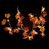 Buy Thanksgiving Decorations