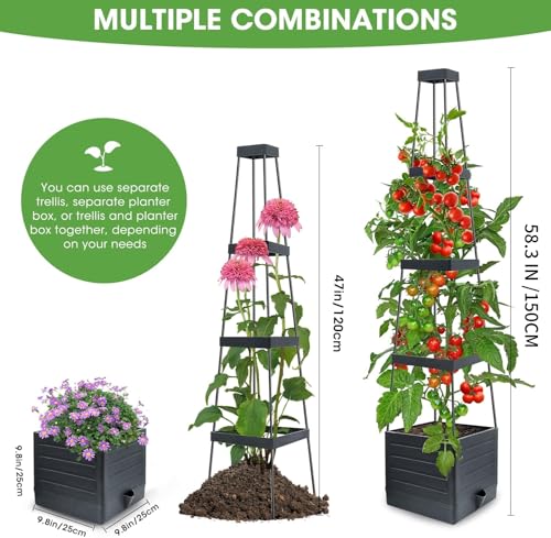MYMULIKE 2 Pack Raised Garden Bed Planter Box with Trellis, 58” Tomato Cage Planter Raised Garden Bed with Trellis for Climbing Vegetables Plants Tomato Cage w/Self-Watering, Indoor Outdoor Use