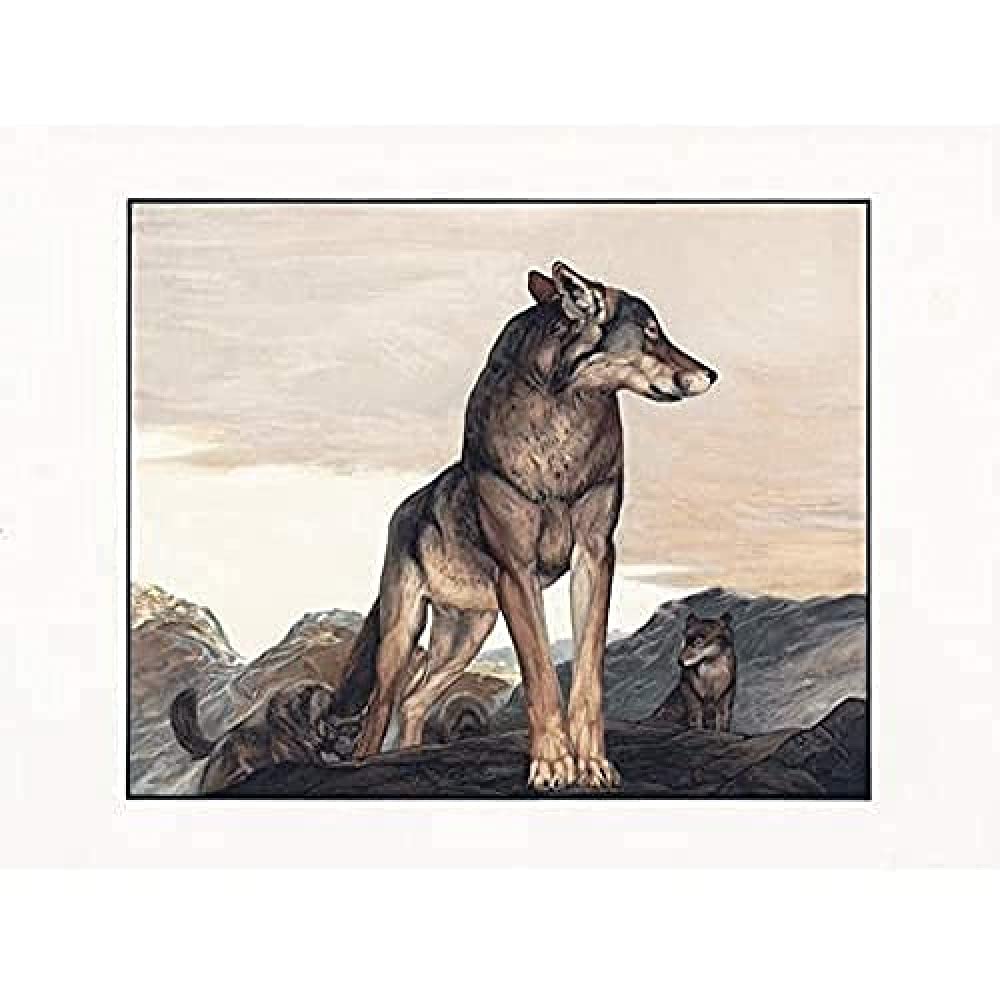 Detmold Akela Lone Wolf Jungle Book Painting Art Print Canvas Premium Wall Decor Poster Mural