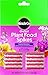 Miracle-Gro Orchid Plant Food Spikes (Pack of 2) primary