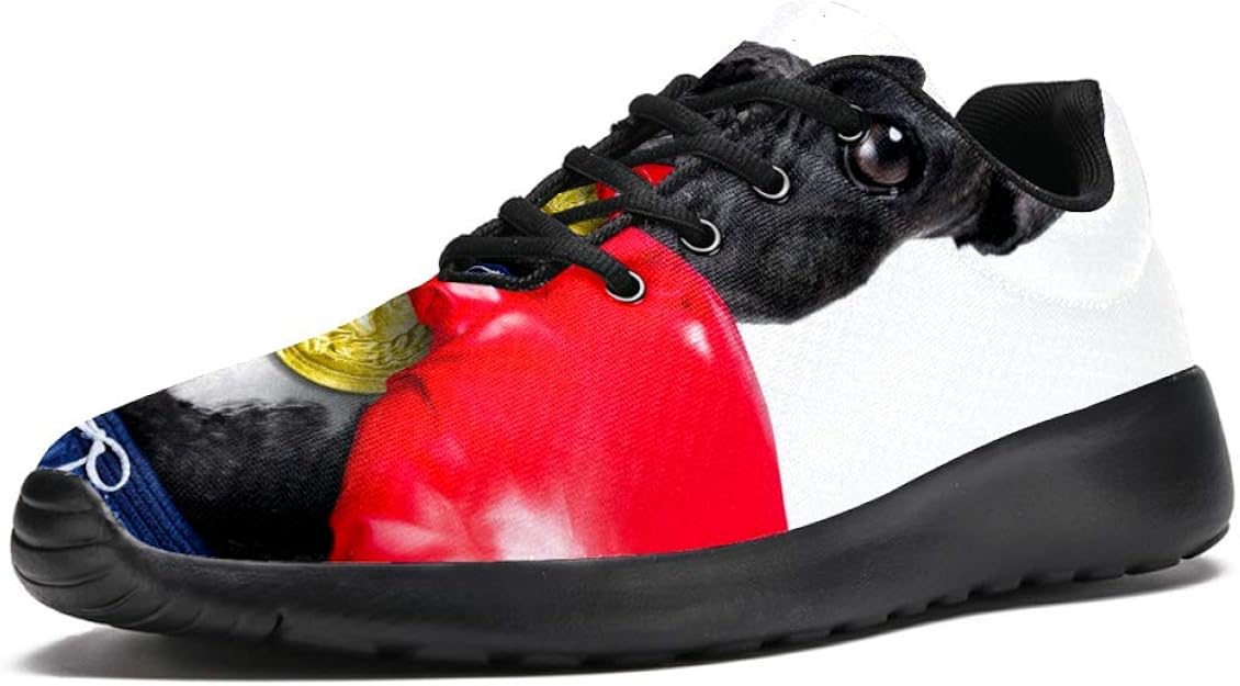 French Bulldog As Boxing Trainer with Boxing