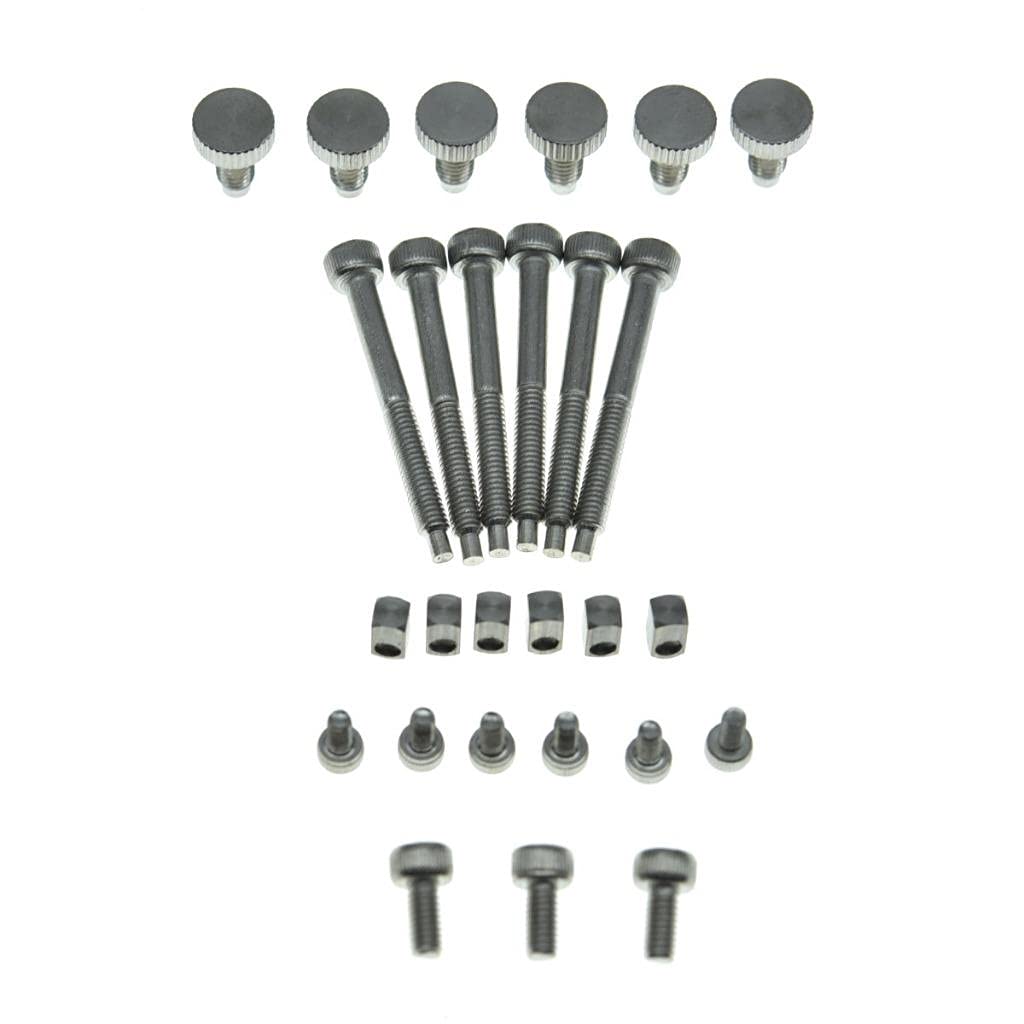 Dopro Stainless Steel SUS 304 Whole Set Screws & Blocks for Floyd Rose Tremolos