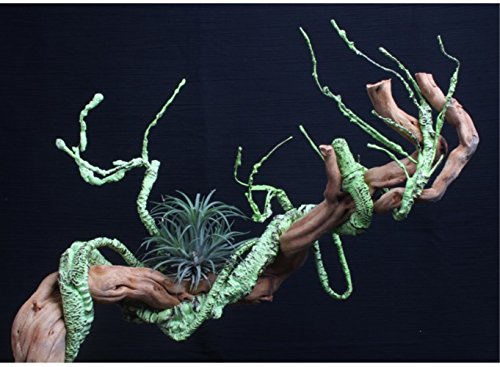 4 Flexible+Branch+Plastic+Terrarium+Reptiles