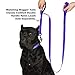 “Classic Comfort Dog Collar Premium Nylon Neoprene Padded Dog Collar for Large Sized Dog Comfortable Collar for Your Dog by Wagtime Club (Vibrant Purple) L