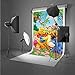 FHZON 5x7ft Winnie The Pooh and Friends Picture Background Rainbow Green Grass Leaves Photography Backdrop Children Baby Newborn Birthday Party Studio Video Prop LXFH274