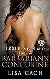 Barbarian's Concubine (The 1,001 Erotic Nights Series Book 2)