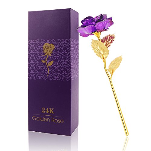 24K Gold Foil Rose Powstro 10‘’ Long Stem Real Rose Dipped in Gold with Gift Box, Last Forever Best Valentine's Day Gift (Purple)