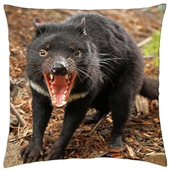 Amazon Com Tasmanian Devil Throw Pillow Cover Case 16 Home