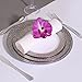 Party Bargains Disposable Plastic Plate | Silver Touch Collection Elegant Hammered Border Designed White Plates Ideal for Catering, Food serving, Picnics & Parties - 7.5 inch Round | Pack Of 40