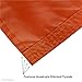 College Flags & Banners Co. Illini Big 10 University Large College Flag