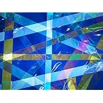 51UdZ8S0AJL. SS150 Rainbow-Symphony-Polarized-Film-Linear-Polarization-Film-Sheet-12-X-17