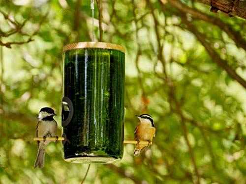 Amazon Com Recycled Wine Bottle Bird Feeder Garden Outdoor