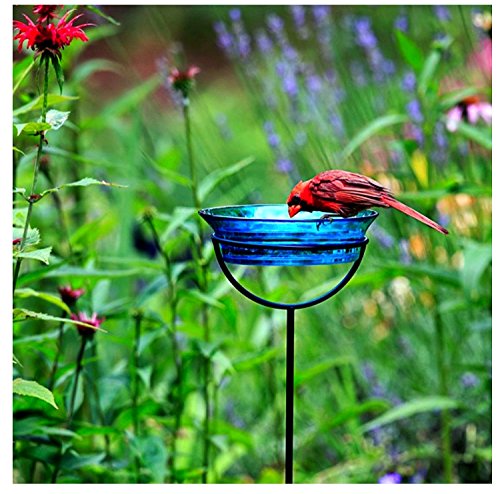Mosaic Birds Cuban Garden Stake Bird Bath Feeder Birdseed Mealworm G465VM Recycled Glass Bowl Container with Adjustable Height Stake - Clear