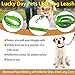 Lucky Day Pets LED Dog Leash Waterproof Nylon Webbing with Reflective Strips, 4 Feet Long, Green