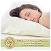 Mulberry Park 100% Silk Pillowcase - 19 Momme, Grade 6A Mulberry Silk - Deep Envelope Closure - Ivory/Queen (20'' x 30'')