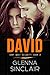 DAVID: A Standalone Romance (Gray Wolf Security)