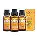 Ownest 3 Pack Ginger Massage Oil,100% Pure Natural Lymphatic Drainage Ginger Oil,SPA Massage Oils,Repelling Cold and Relaxing Active Oil-30ml primary