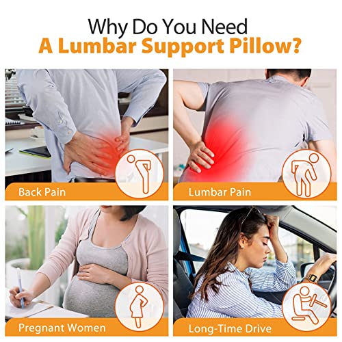 Lumbar Support Pillow for Office, Memory Form Back Support with Adjustable Strap& Breathable 3D Mesh & Air Fiber for Back Pain Relief, Lumbar Pillow for Gaming Chair Computer Car Seat