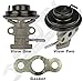APDTY 022719 EGR Exhaust Gas Recirculation Valve w/Gasket