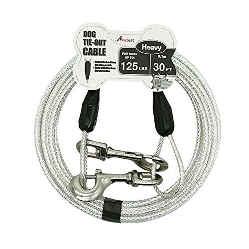 Petest Reflective Tie-Out Cable