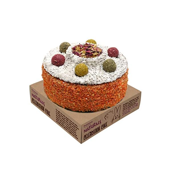 Rosewood-Naturals-Small-Animal-Treats-Celebration-Cake Rosewood Naturals Celebration Cake, Rabbit Treats & Small Animal Treats, 230g