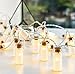 Solar String Lights, Oak Leaf 30 LEDs Waterproof Glass Jar LED Fairy Lights for Outdoor Garden Backyard Wedding Indoor Party, Warm White,9.8 ft