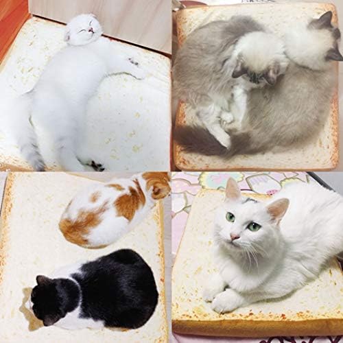 ネコベッド ペットベッド 犬猫用クッション ベッドマット いぬ 猫 寝床 スクエア型 可愛い パンの形 パン トースト フワフワ 柔軟快適 安眠 コンフォート 噛み耐え 取り外し可能 洗える 清潔 通年 B02thpwt 1 9円 送料無料 激安 お買い得 キ フト 日本メーカー