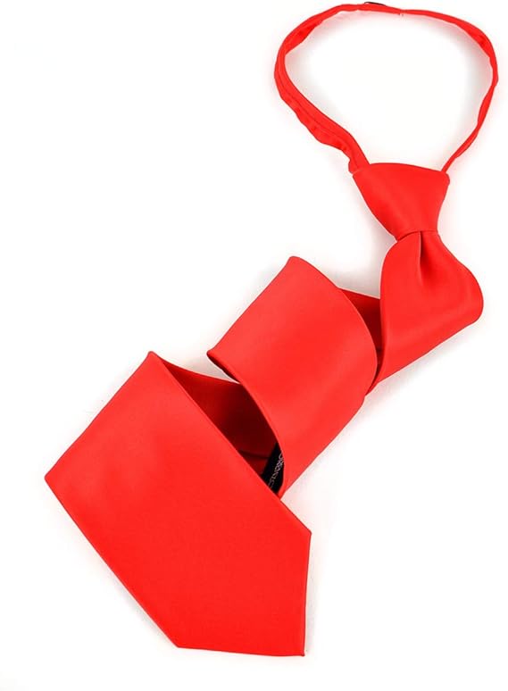 BG Plain Solid Color PolySatin Zipper Neckties for Men. Men’s Elegant