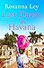 Last Dance in Havana: Escape to Cuba with the perfect holiday read! by 
