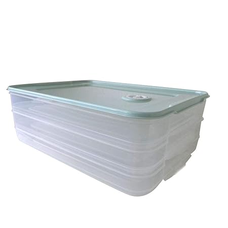 iBaste_S termómetro con S Caja Nevera Multicapa con Fondo ...