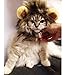 DOGLOVEIT Lion Mane for Cat Appreal, Pet Costume Lion Wig for Dog Cat Halloween Pet Dress up with Ears